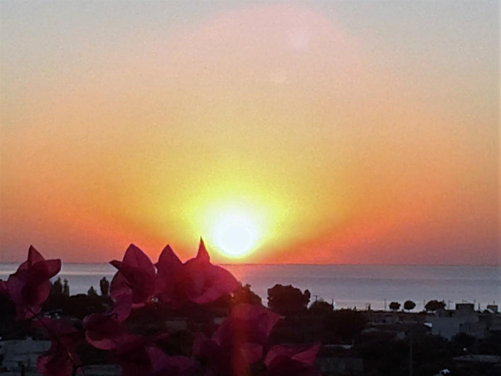 Iris Hotel Afantou Dış mekan fotoğraf