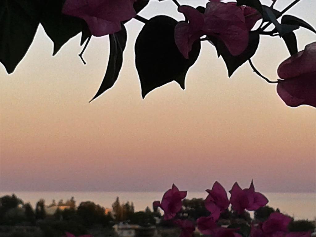 Iris Hotel Afantou Dış mekan fotoğraf