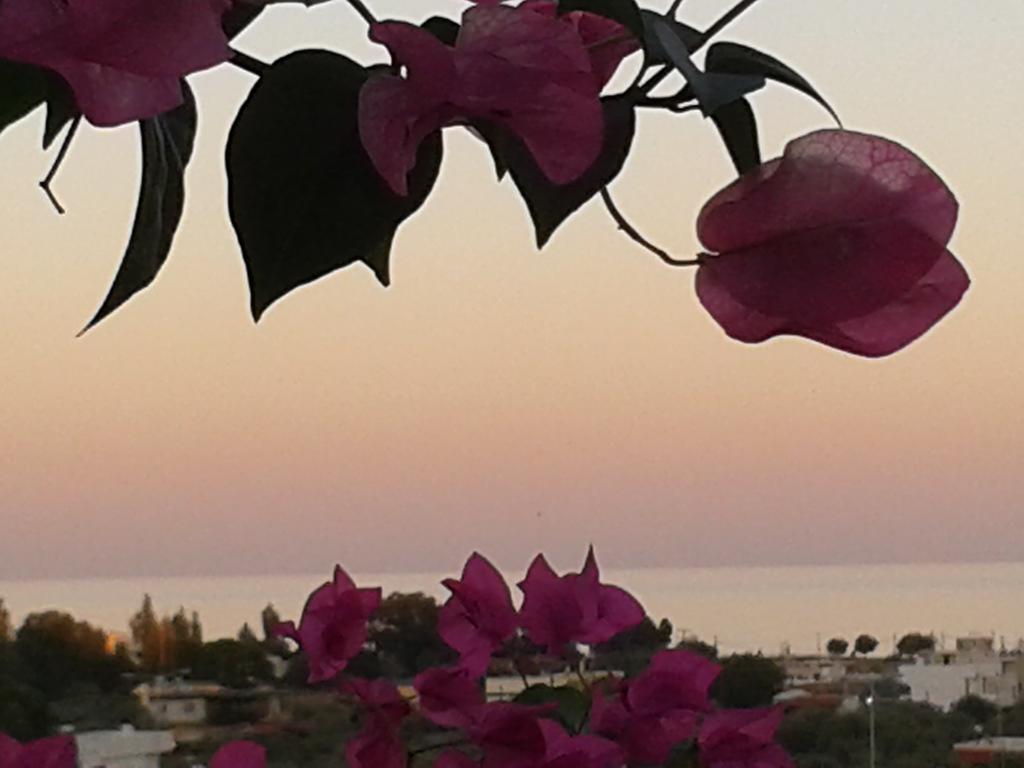 Iris Hotel Afantou Dış mekan fotoğraf