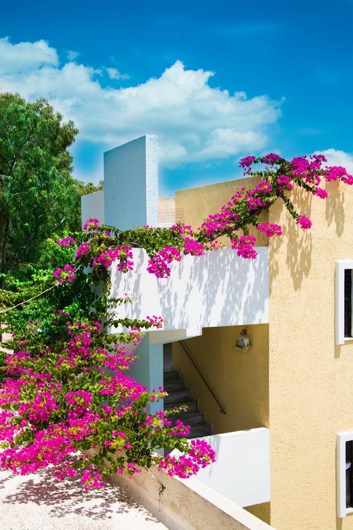 Iris Hotel Afantou Dış mekan fotoğraf