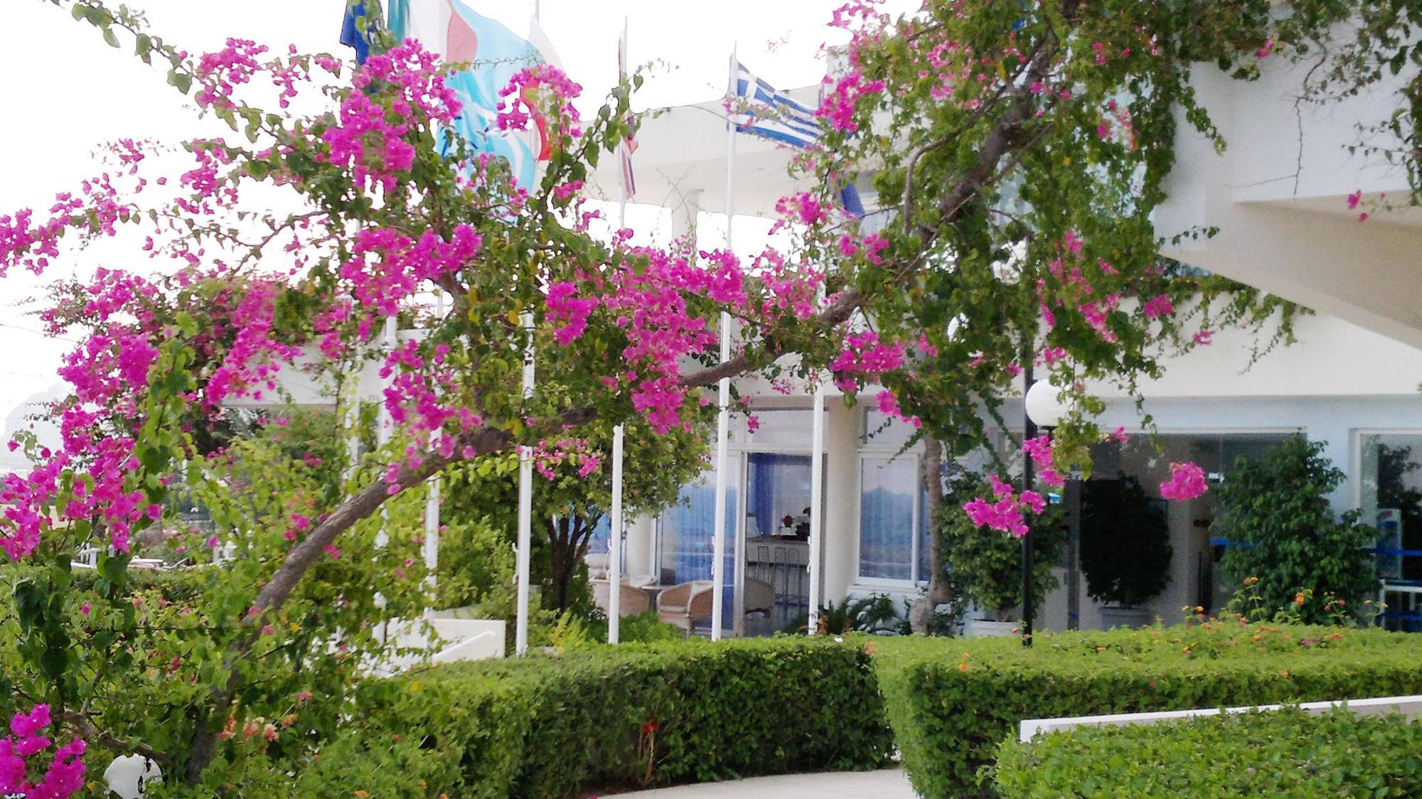 Iris Hotel Afantou Dış mekan fotoğraf