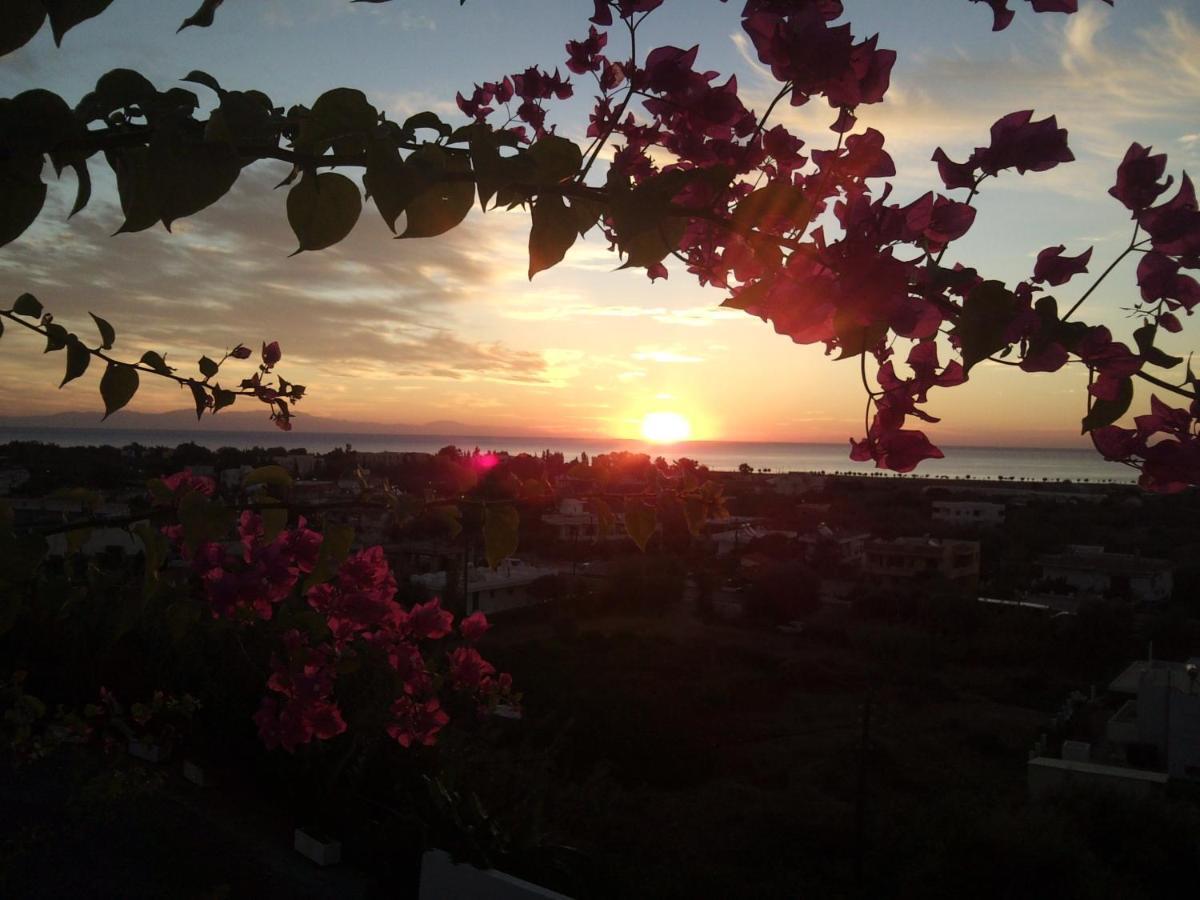 Iris Hotel Afantou Dış mekan fotoğraf